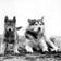 Toutou et Too-mah, les deux chiens des membres de l’expédition dans le détroit d’Hudson