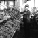 <strong>Henry Teuscher, chef horticulteur, au travail dans une serre du Jardin botanique de Montral</strong>