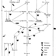 Schma employ par Pierre Dansereau lors dun cours portant sur la biogographie