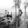 <strong>Inondation, possiblement à Saint-Michel-de-Wentworth</strong>