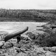 Portage lors dune excursion effectue dans le cadre de llaboration dun ouvrage de Pierre Dansereau intitul Biogeography of the Land and the Inland Waters