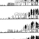 Schma de plans illustrant la succession des plantes de la fort borale prsent dans un ouvrage de Pierre Dansereau intitul Biogeography of the Land and the Inland Waters