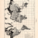 Extrait dune publication de Pierre Dansereau intitule A Preliminary Note on the Structure Variations of Temperate Rainforest