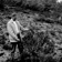 <strong>Pierre Dansereau et des plants de <i>Cistus laurifolius</i>, Monte de Calamocha en Espagne</strong>