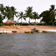 Vue du littoral, de quelques habitations et de la végétation de la région d'Aného, utilisée par Pierre Dansereau pour la rédaction d'un rapport sur l'étude des écosystèmes, remis au Haut Commissariat au tourisme du Togo