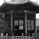 Pagode avec du pavot adventice sur le toit, au Musée provincial du Shaanxi à Xian en Chine