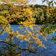 Paysage du Parc national de la Mauricie