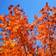 <strong>Paysage du Parc national de la Mauricie</strong>